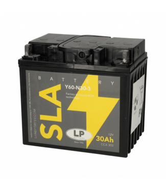 Landport (LP) SLA L60-N30-3 AGM motoraccu 12 volt 30 ah (53030 - Y60-N30-3)