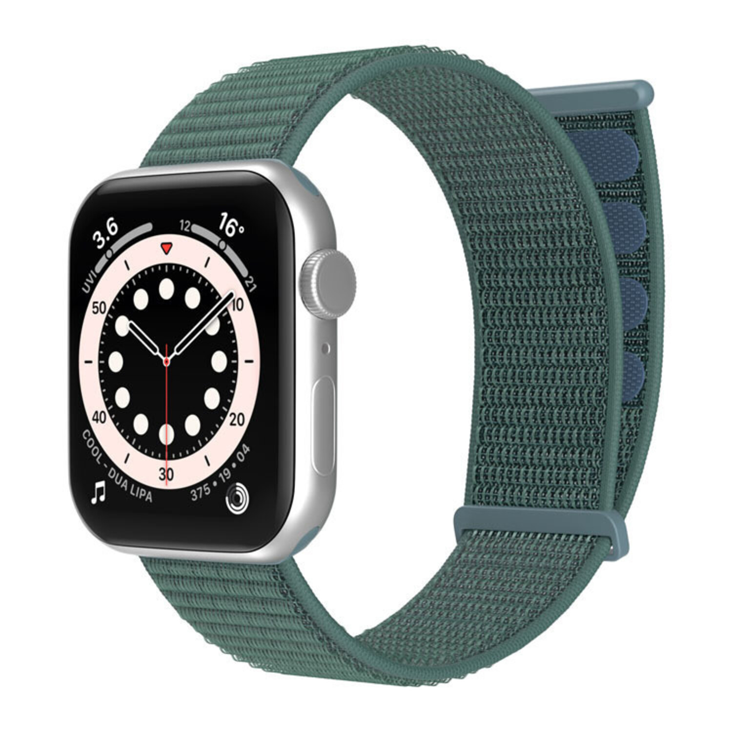 Apple Watch Nylon Loop Strap Pine Green