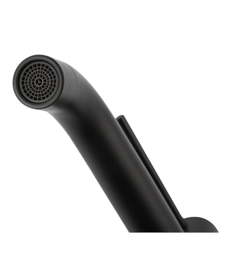 Wastafelkraan Ames - zwart