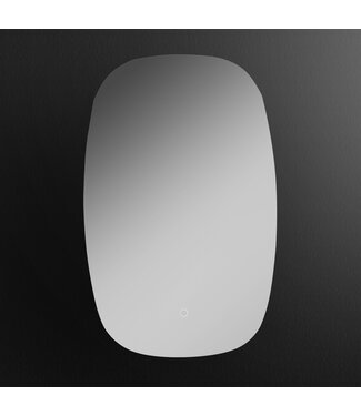 Spiegel Ovar LED - 58  x 90 cm