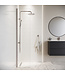 Douchewand Florida 30 x 200 cm - chroom - nano coating