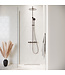 Douchewand Florida 30 x 200 cm - chroom - nano coating