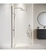 Douchewand Florida 60 x 200 cm - chroom - inloopdouche 8mm