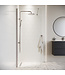 Douchewand Florida 70 x 200 cm - chroom - inloopdouche 8mm