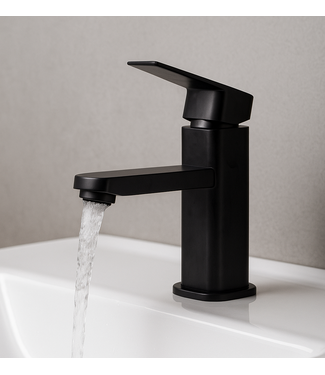 Wastafelkraan Pasco - mat zwart