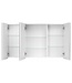 Spiegelkast Siena 100 x 14 x 60 cm - wit