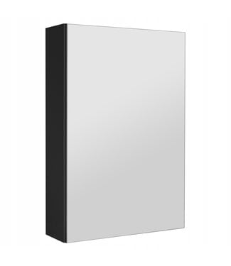 Spiegelkast Siena 40 x 14 x 60 cm - zwart