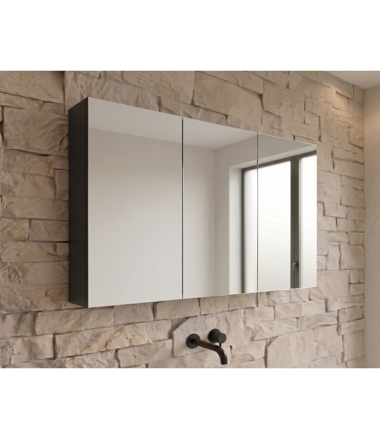 Spiegelkast Siena 100 x 14 x 60 cm - zwart