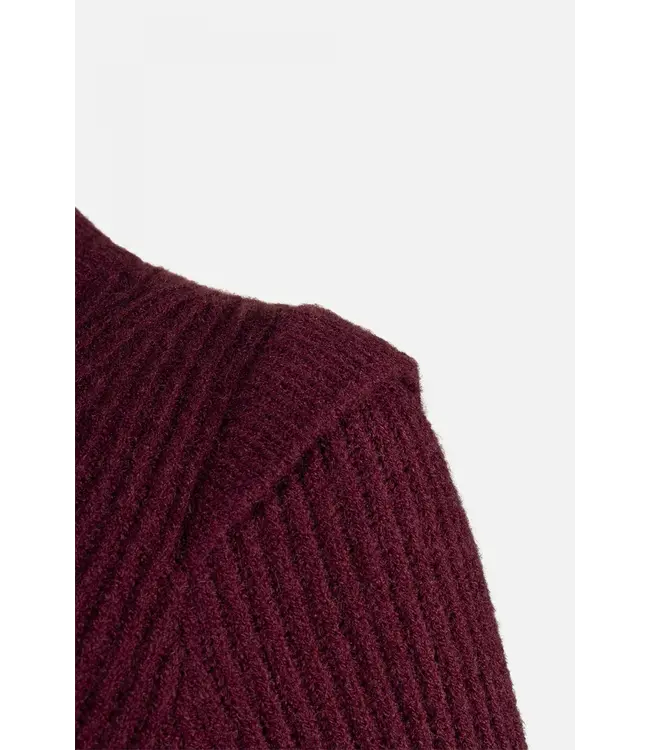 Radical Sweater Hazel Burgundy