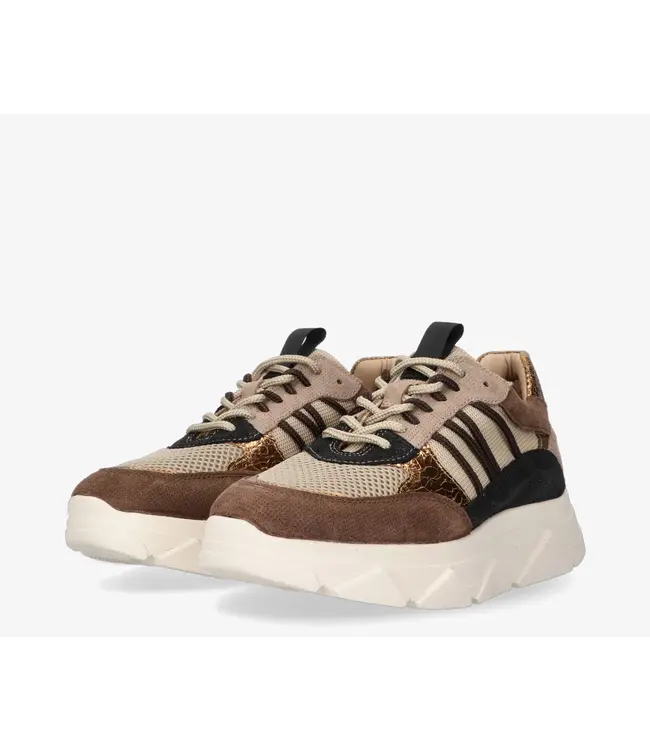 Tango Sneaker Kady Fat 435 e Brown Taupe Iconic Musthaves