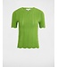 Morgan de toi Morgan Top Mcara Pistache Green
