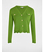 Morgan Vest Marola Pistache Green
