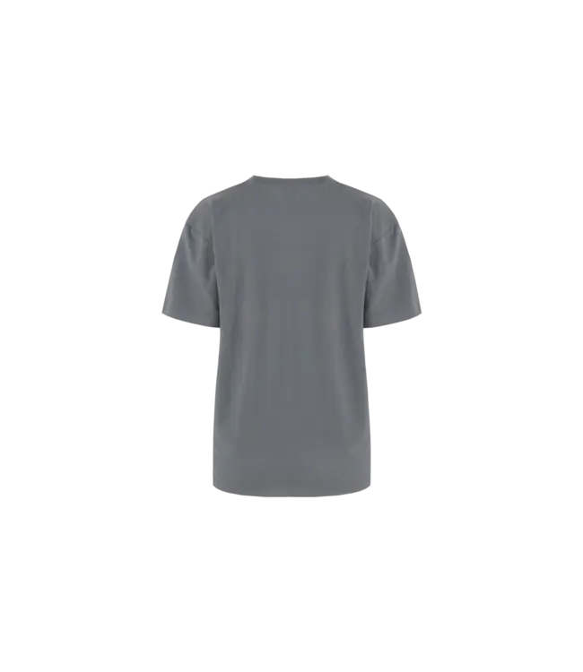 Fluresk T-shirt Nerina Grey