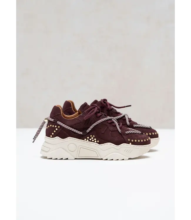 DWRS Sneaker Jupiter Studs Bordeaux