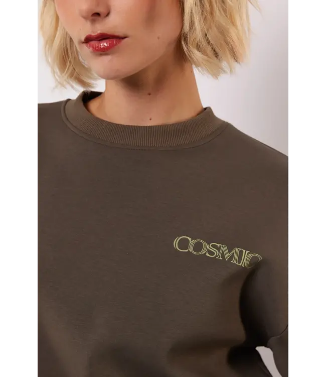 Fluresk Sweater Dianthe Clay