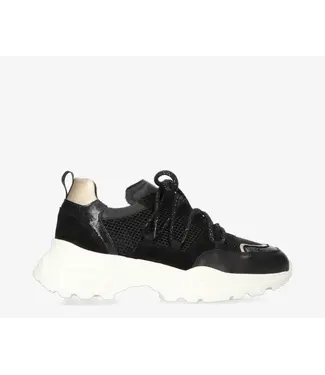 Tango Tango Sneaker Alicia 402-e Black/Gold