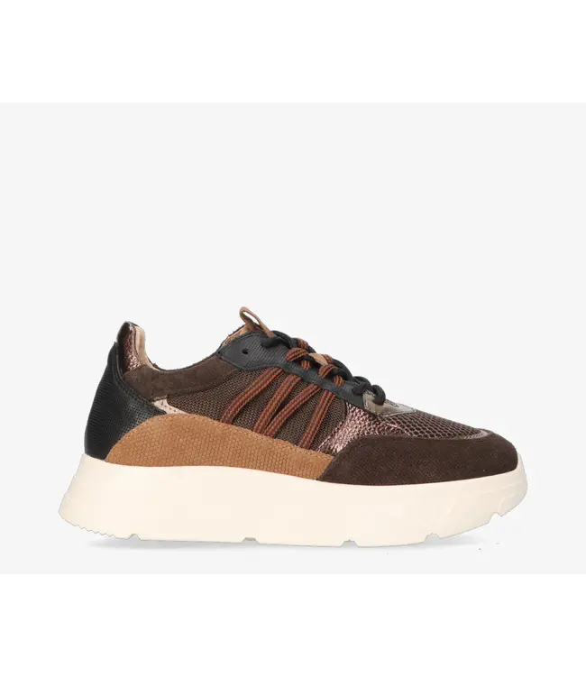 Tango Sneaker Kady Fat 435-k Brown