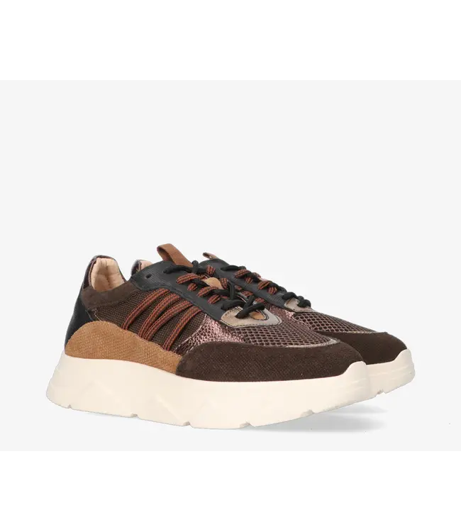 Tango Sneaker Kady Fat 435-k Brown