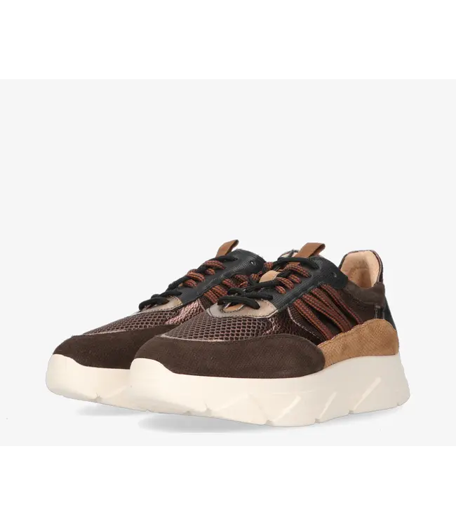 Tango Sneaker Kady Fat 435-k Brown