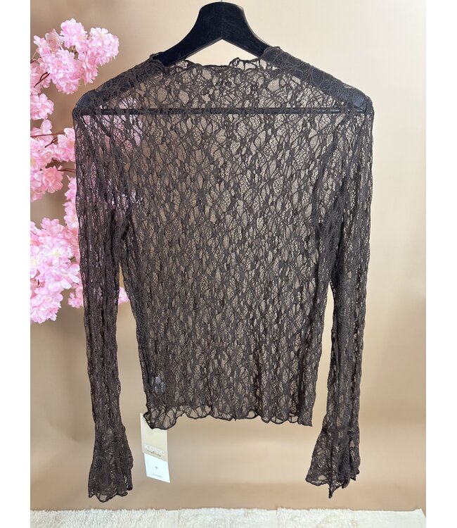 IM Top Lace Marron Brown