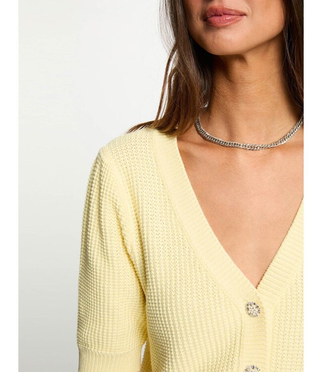 Morgan Vest Myrtile Butter Yellow