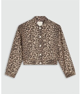 Josh V Josh V Bomber Jacket Nadine Leopard Brown