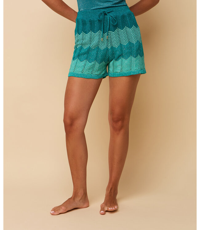 HEYB Short Dani Aqua