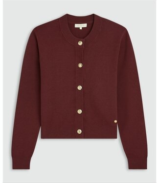 Josh V Josh V Vest Fliss Burgundy