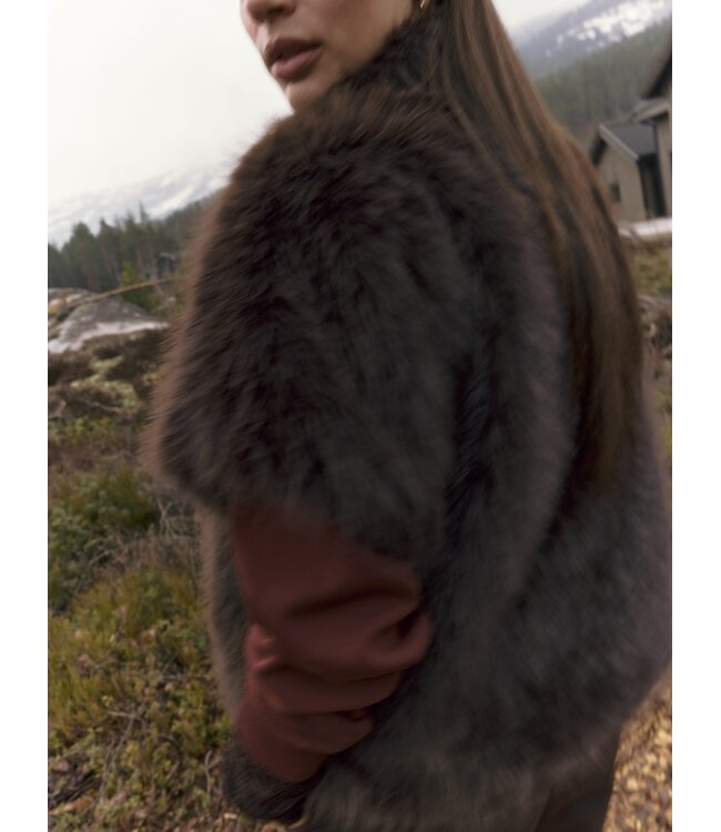 Lady Day Jacket Jenna Dark Brown