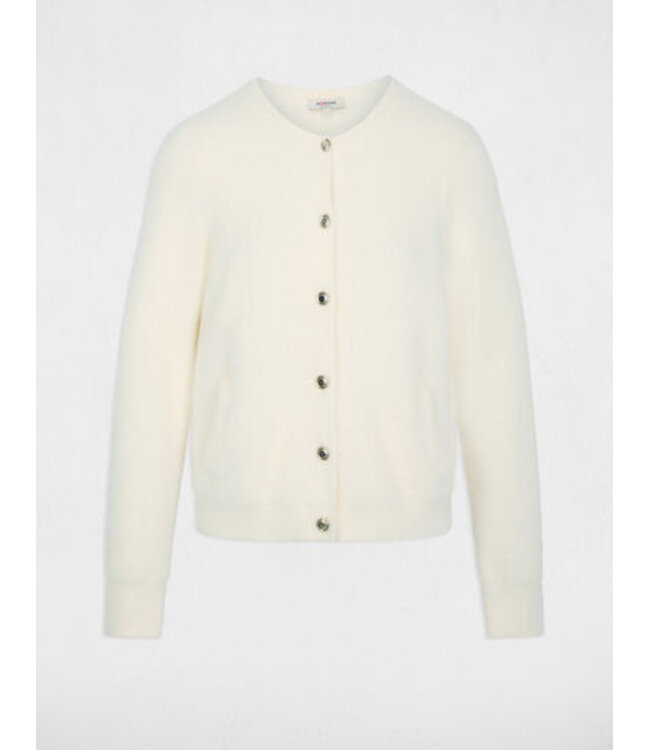 Morgan Vest Mkevin Ivoire