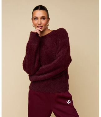 HEYB HEYB Trui Fauve Bordeaux