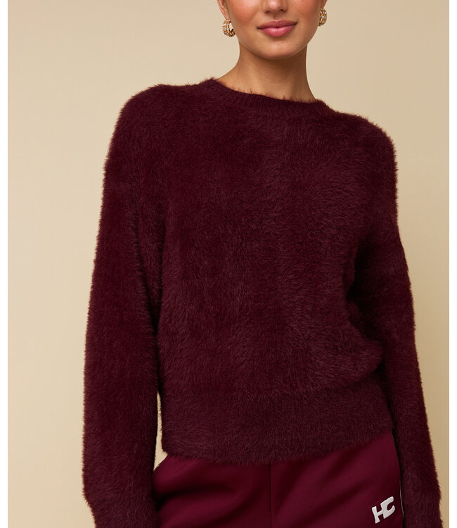 HEYB Trui Fauve Bordeaux