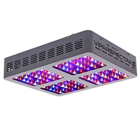 Viparspectra Viparspectra R600