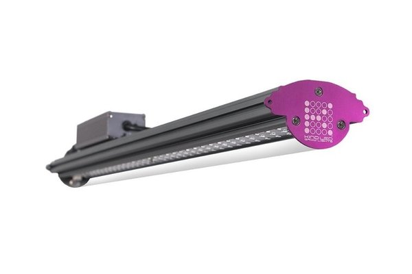Kind Led KIND LED X40 Kind Led KIND LED X40