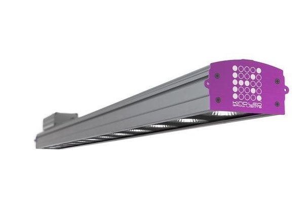 Kind Led KIND LED XC150