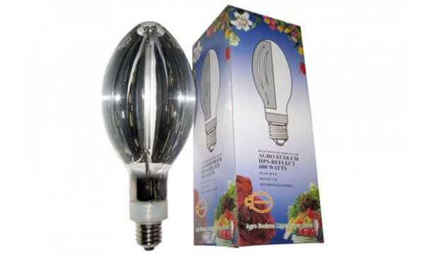 HPS Reflectorlamp (600W)