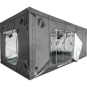 Mammoth Elite HC 600l