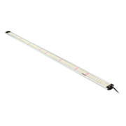 Apollo Apollo Falcon 60