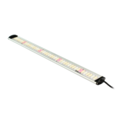 Apollo Apollo Falcon 115