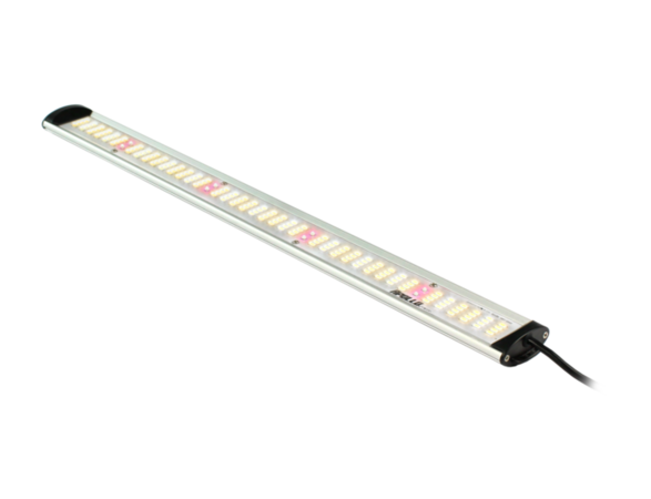 Apollo Apollo Falcon 115 Ledbar met Dimmer