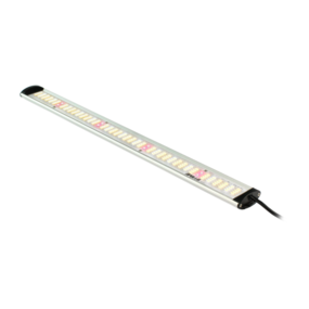 Apollo Falcon 115 PRO