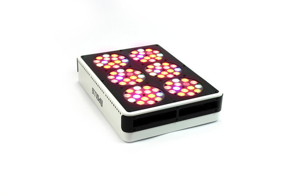Apollo Apollo 6 LED Apollo Apollo 6 LED