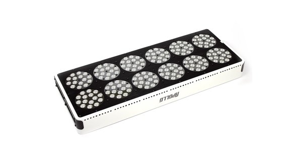 Apollo Apollo 12 LED