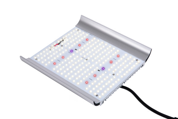 Apollo Apollo Quantum Board 100W