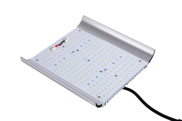 Apollo Apollo Quantum Board 100W