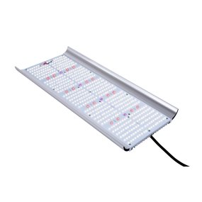 Apollo Quantum Board 240W