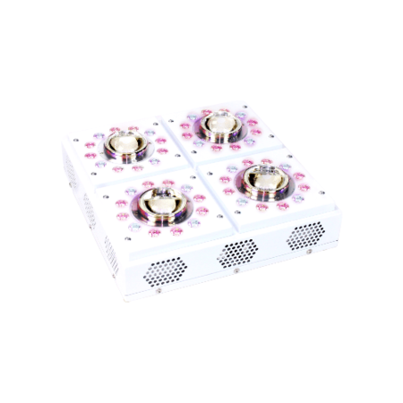 Apollo Apollo X 4