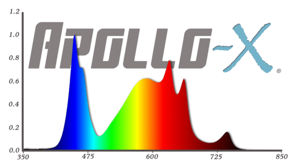 Apollo Apollo X 8