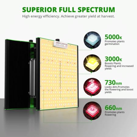 Viparspectra ViparSpectra P1000