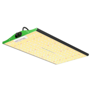 Viparspectra Viparspectra P2000